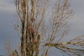 Travaux d'automne